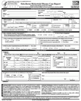 Sample Report